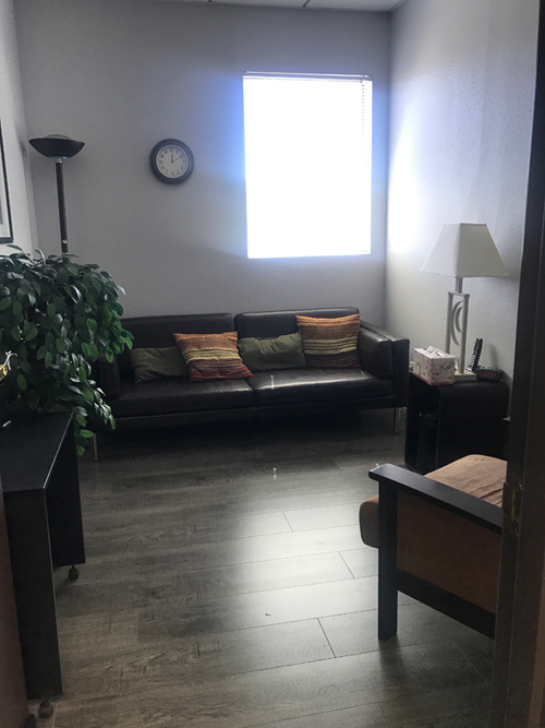 photo woodland hills office space, wood floors, dark sofa with pillows, tan chair, greenery, one window