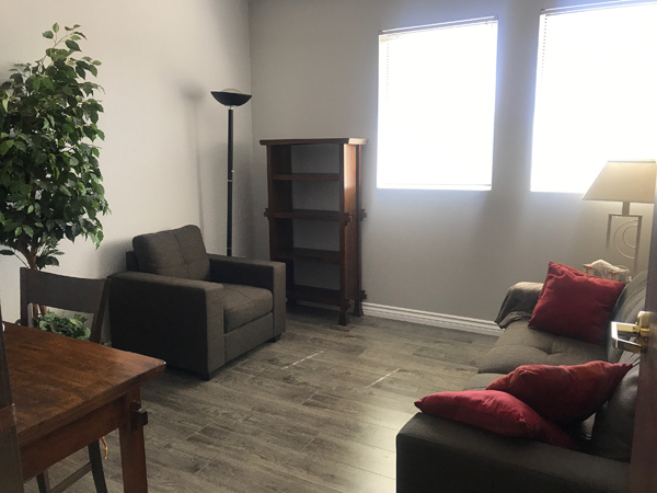 photo Woodland Hills Office Space, greenery, wood bookshelf, two windows, two brown sofas with pillows